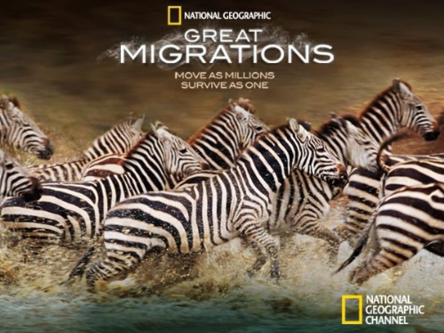 Great Migrations, image 1 of 1