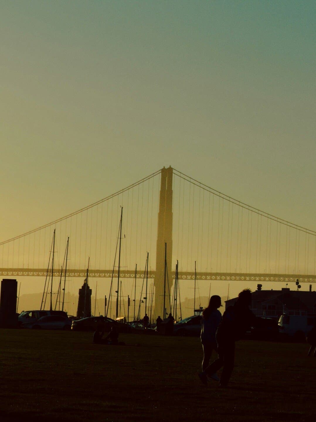 Polo Fields, image 1 of 1
