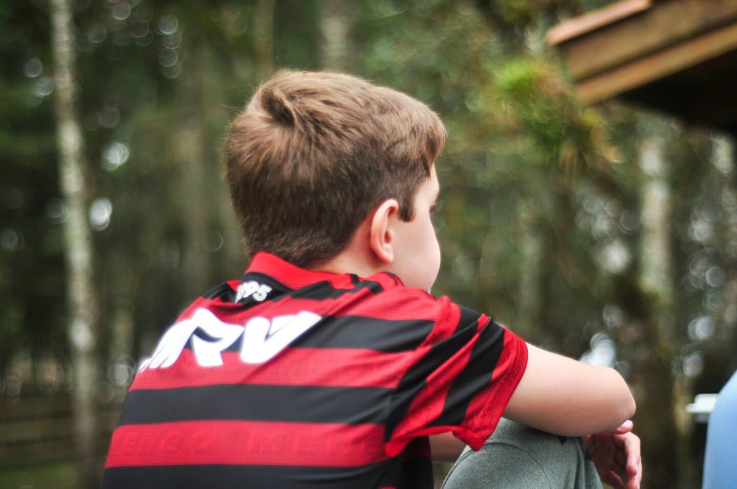 Parque do Flamengo (Aterro) – Quadras e campos, image 1 of 1