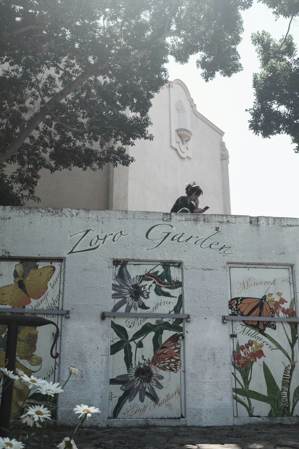 Léo Jardim, image 1 of 1