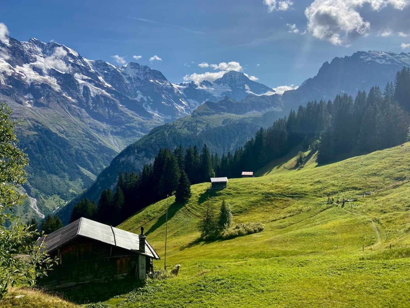 Alpines Museum der Schweiz, image 1 of 1