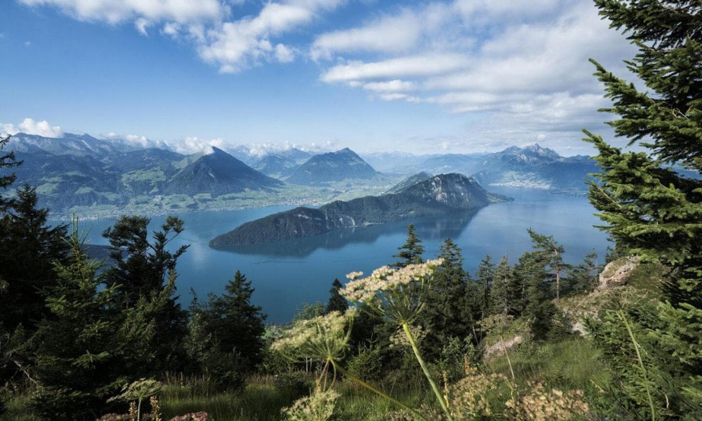 Rigi Panorama Trail, image 1 of 1