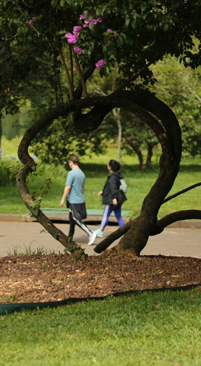 Parque Ibirapuera (pista de corrida), image 1 of 1