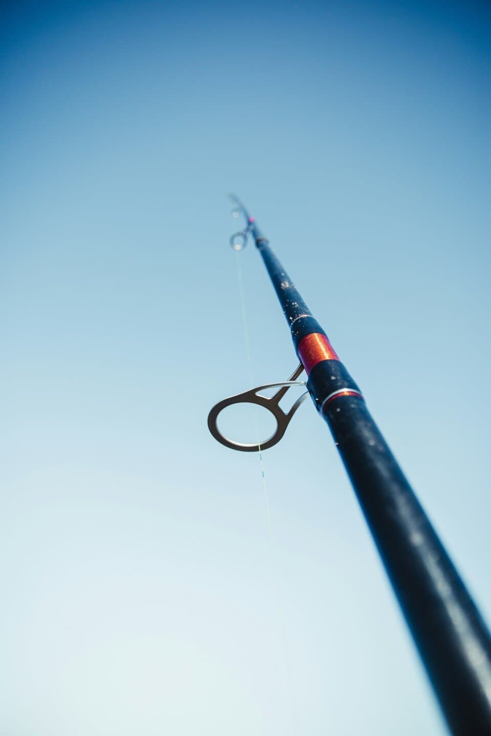 Fish Tape, image 1 of 1