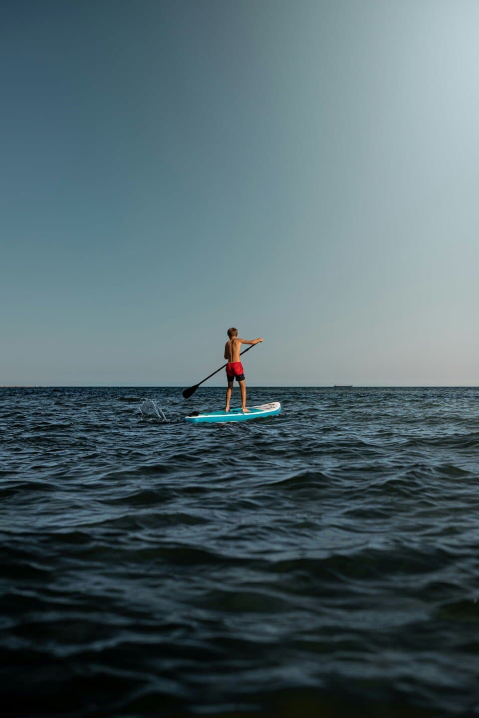The Sup, image 1 of 1