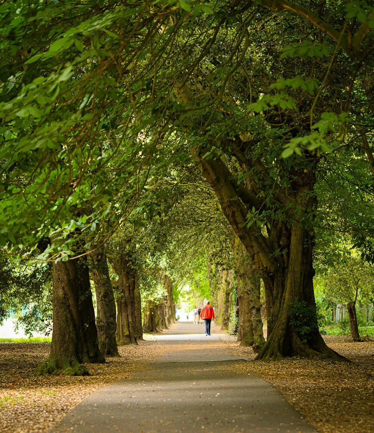 Phoenix Park, image 1 of 1