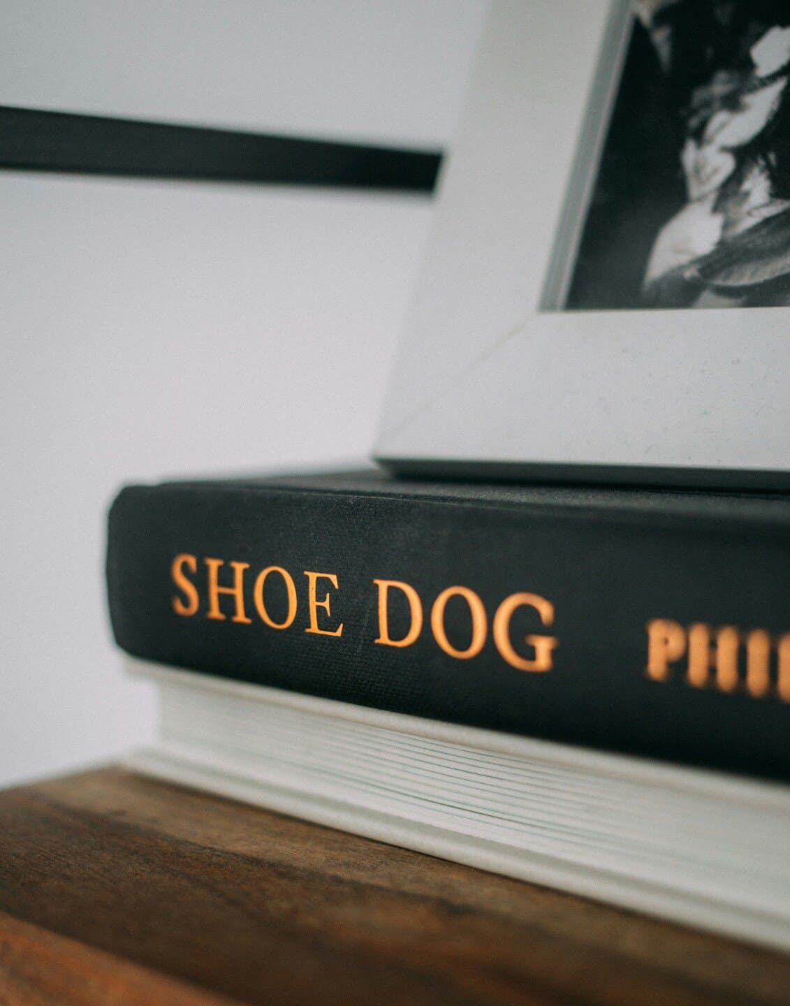 Shoe Dog, image 1 of 1