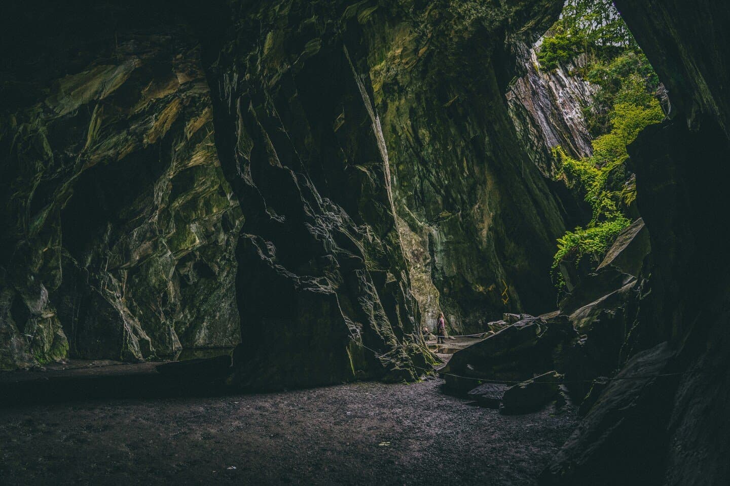 Cave Jacques & Aurélia Joly, image 1 of 1