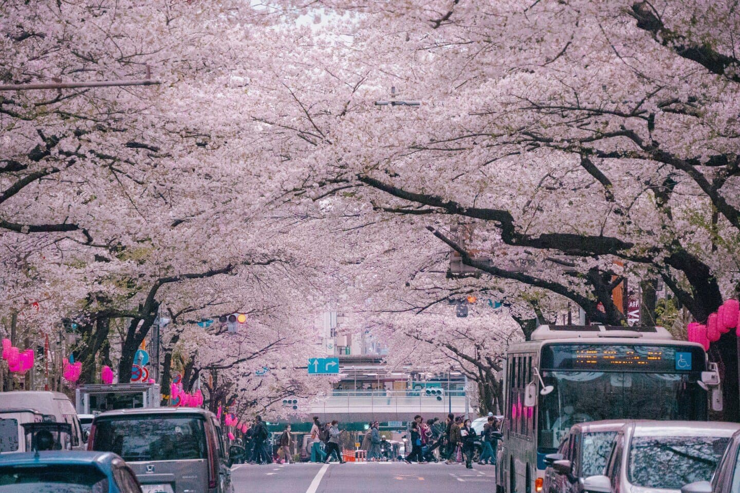 Hatoya Asakusa, image 1 of 1