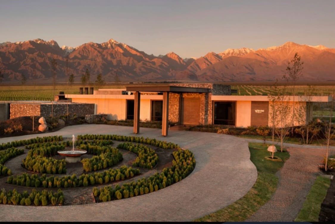 The Vines, image 1 of 1