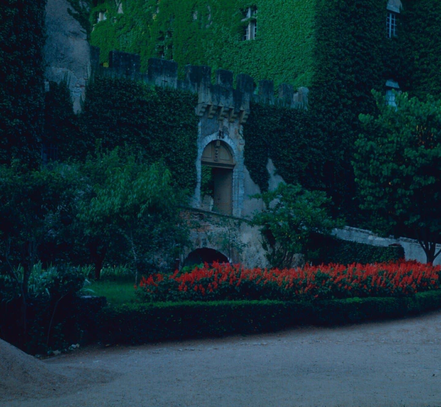 The Cloisters, image 1 of 1