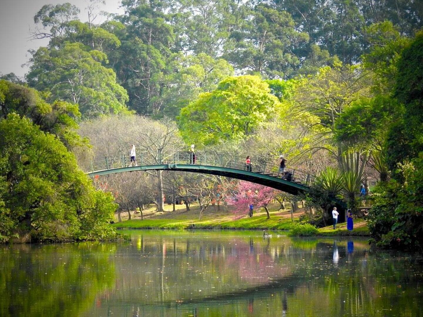 Parque Ibirapuera, image 1 of 1