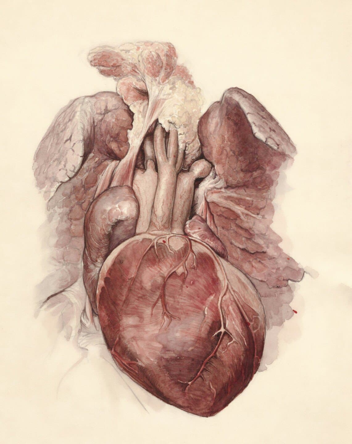 FRAMINGHAM Heart Study (risco cardiovascular), image 1 of 1