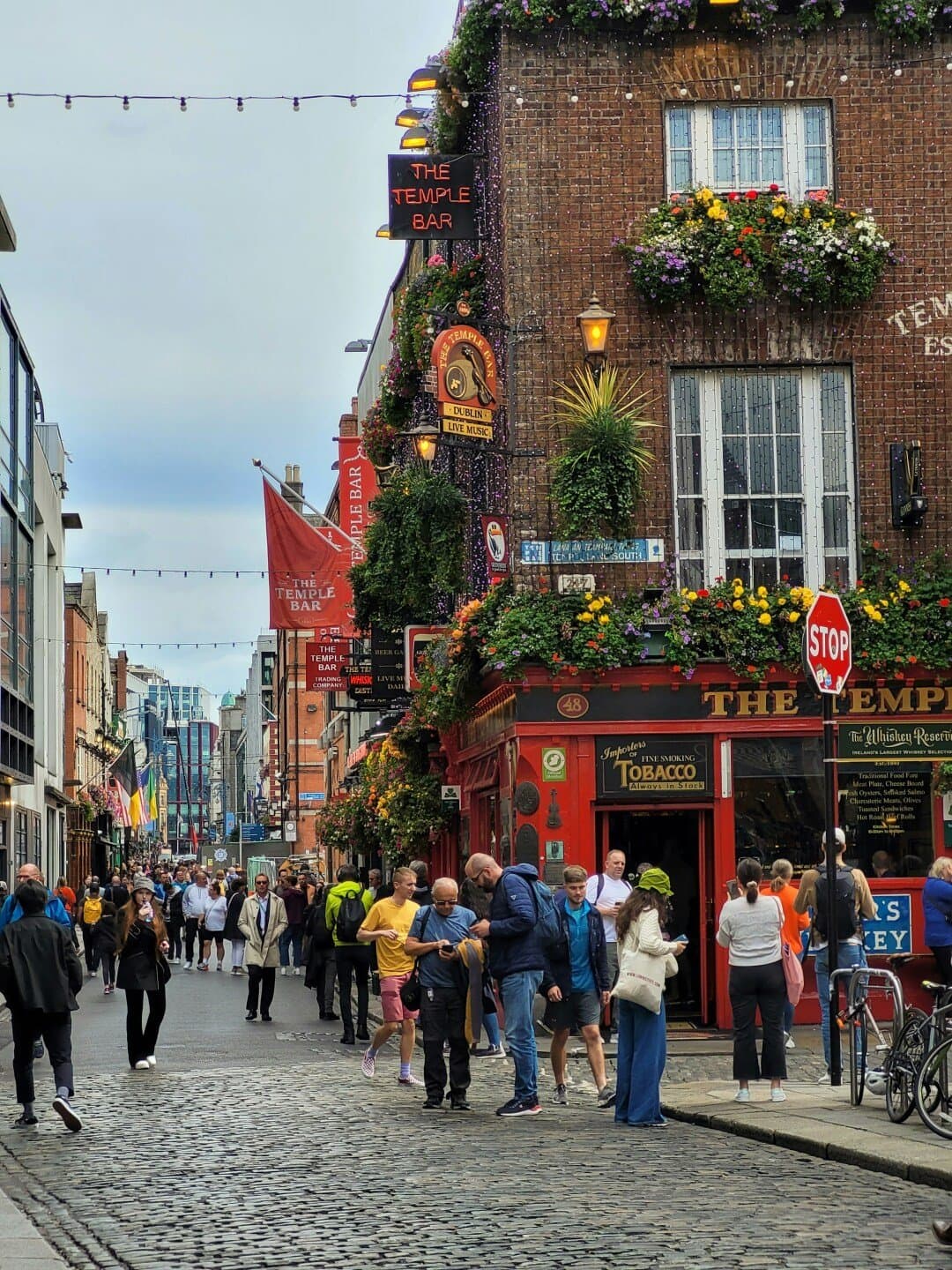McGowans of Phibsboro, image 1 of 1