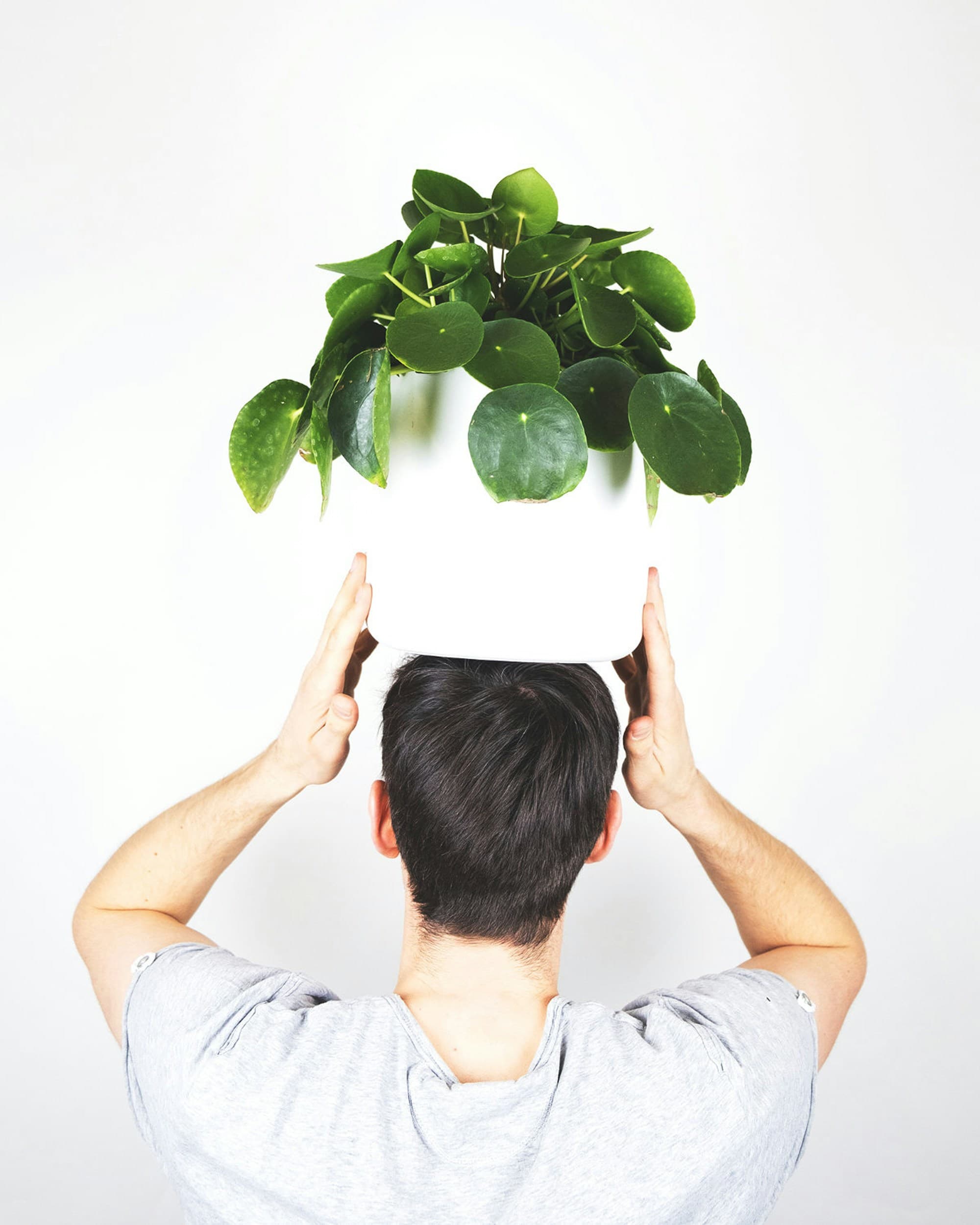 This Is Your Mind on Plants, image 1 of 1