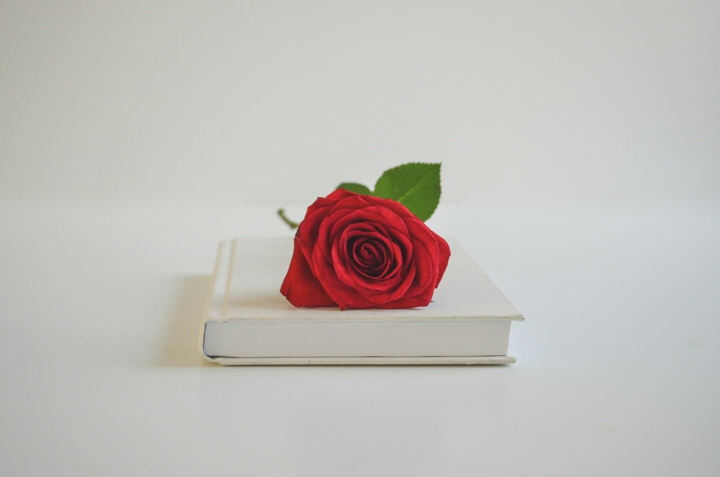The Name of the Rose, image 1 of 1