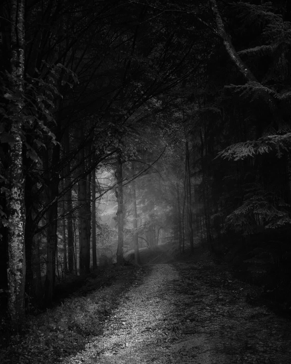 Dark, image 1 of 1