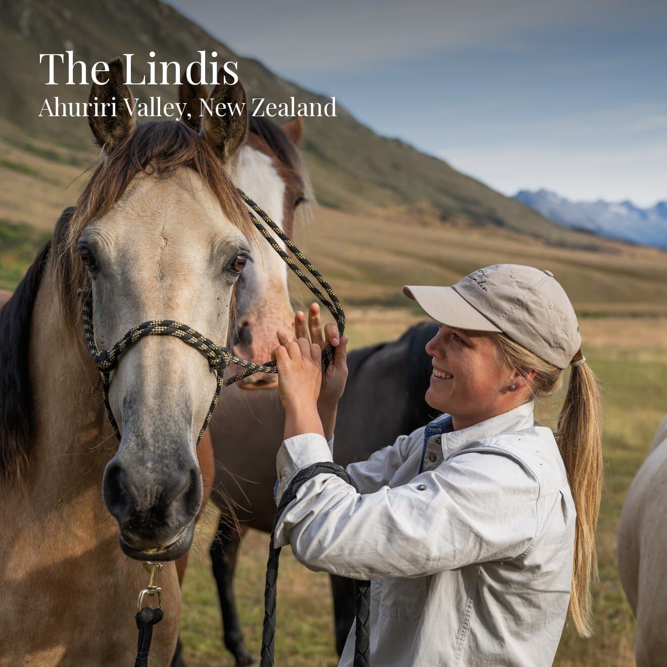 The Lindis Lodge, image 1 of 1