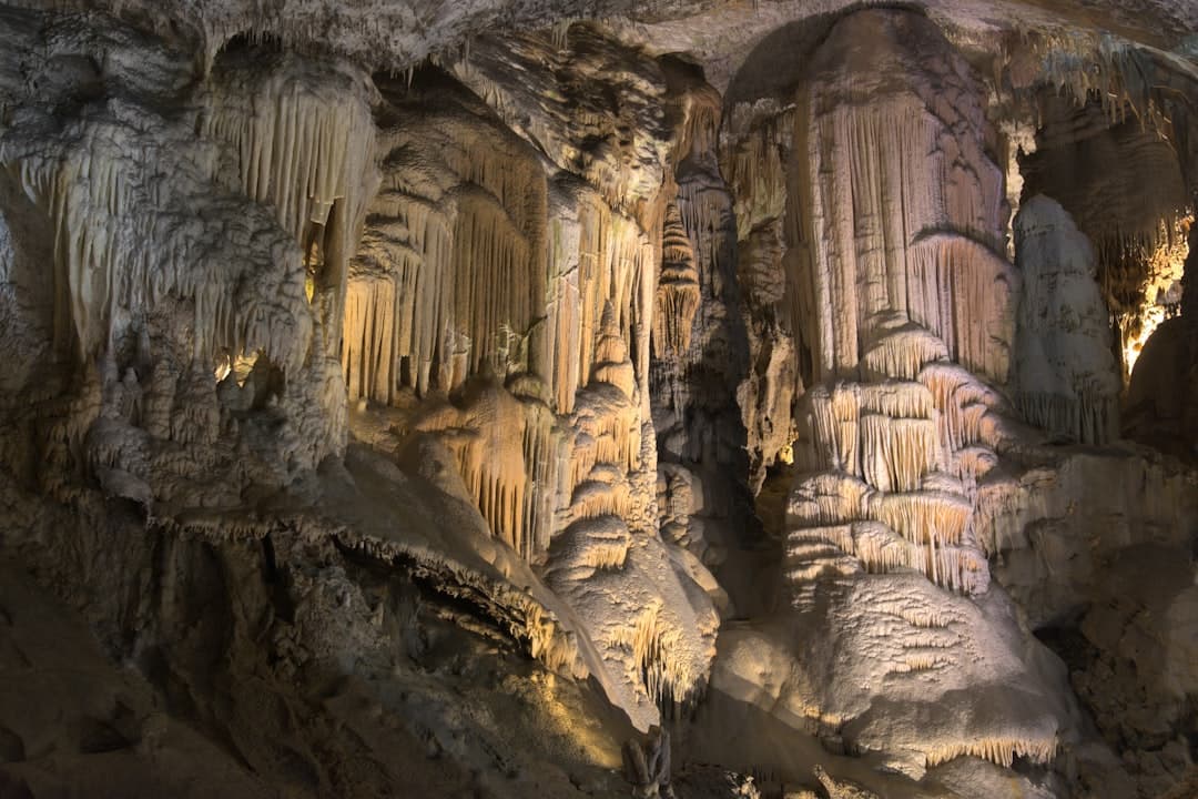 Caverna de Postojna, image 1 of 1