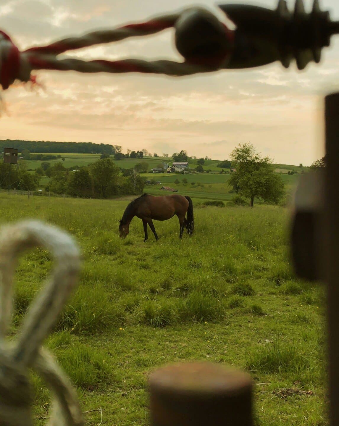 Slow Horses, image 1 of 1