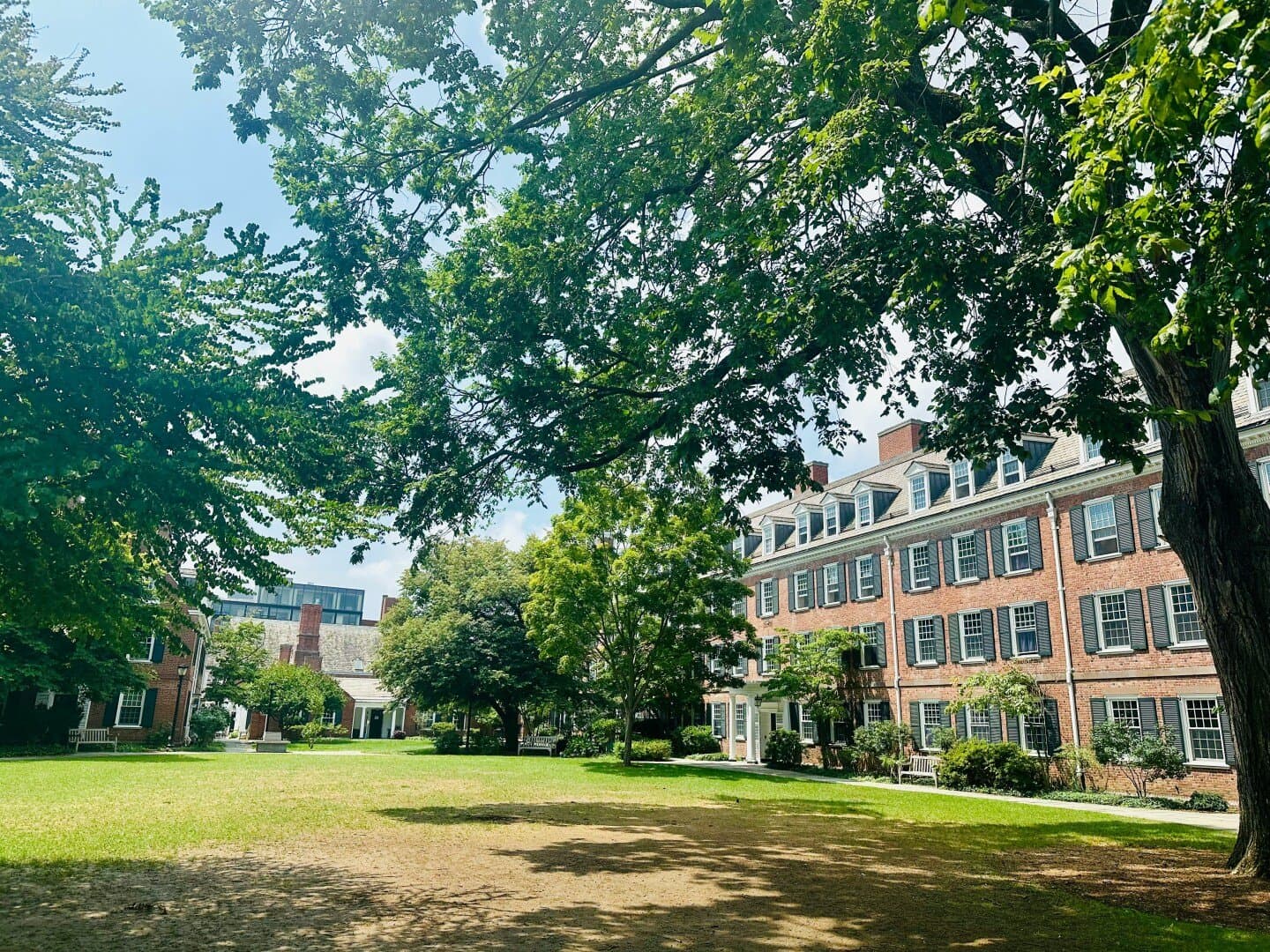 New Hunt’s House Library (Guy’s), image 1 of 1