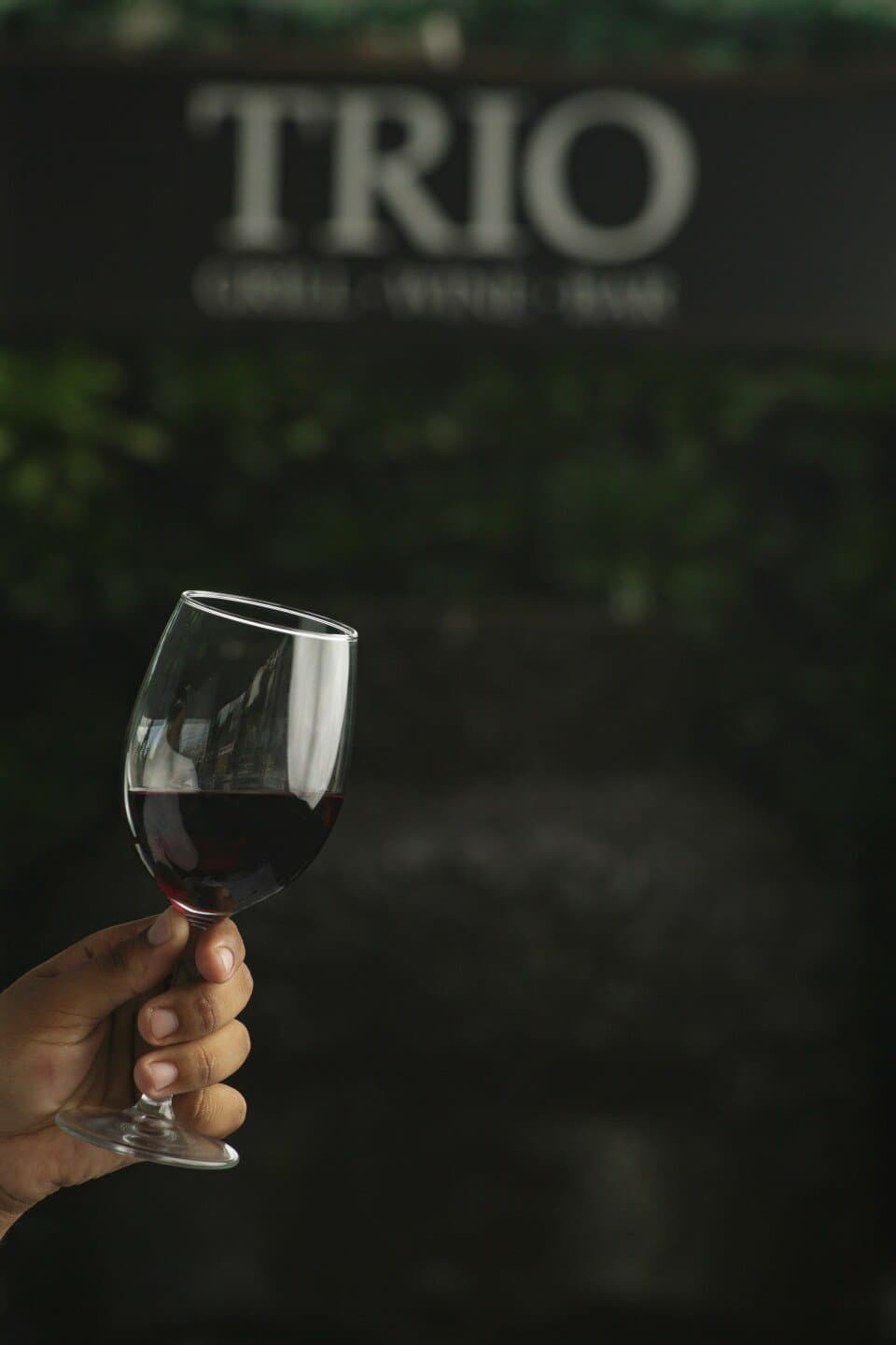 Convento Ticino DOC Merlot, image 1 of 1