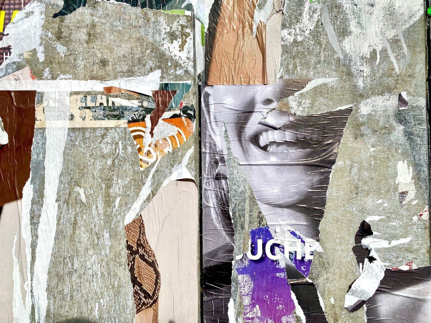 Distorted Portraits, image 1 of 1