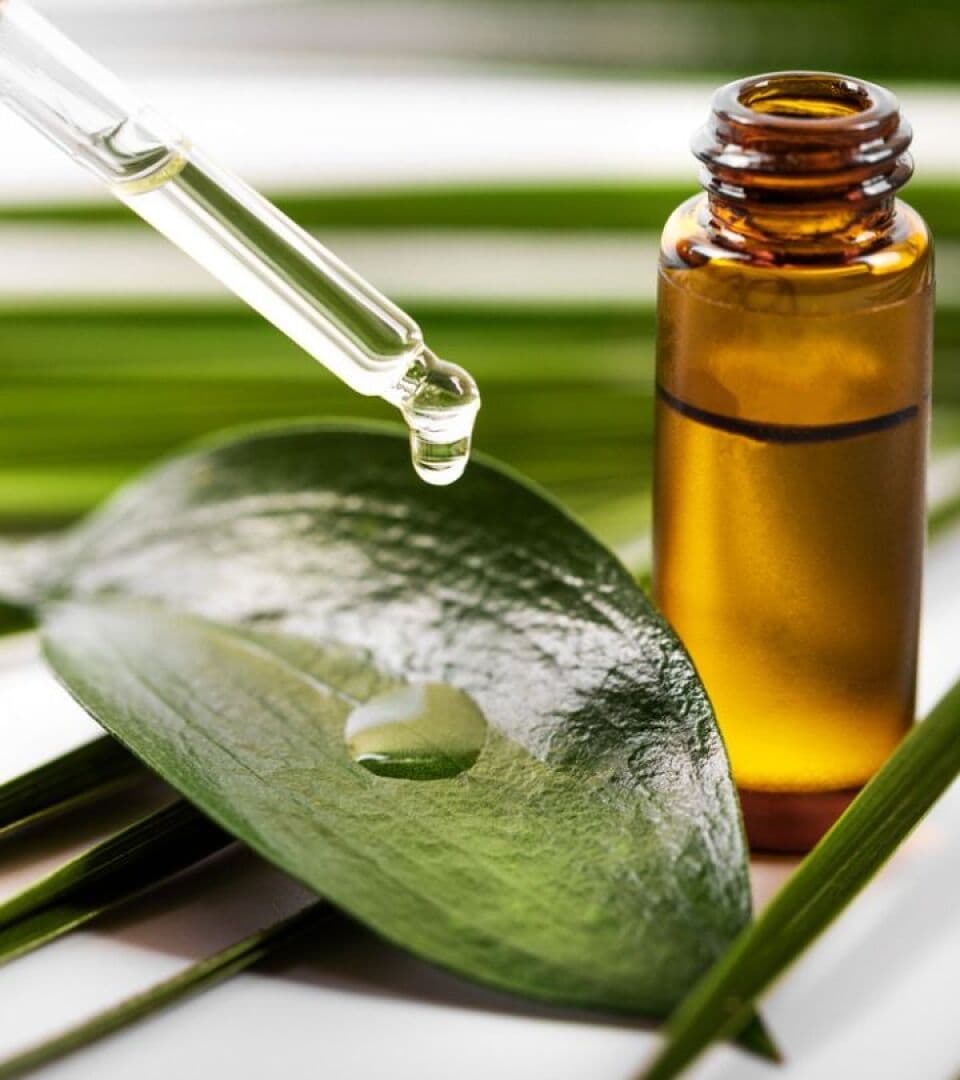 Tea Tree, image 1 of 1