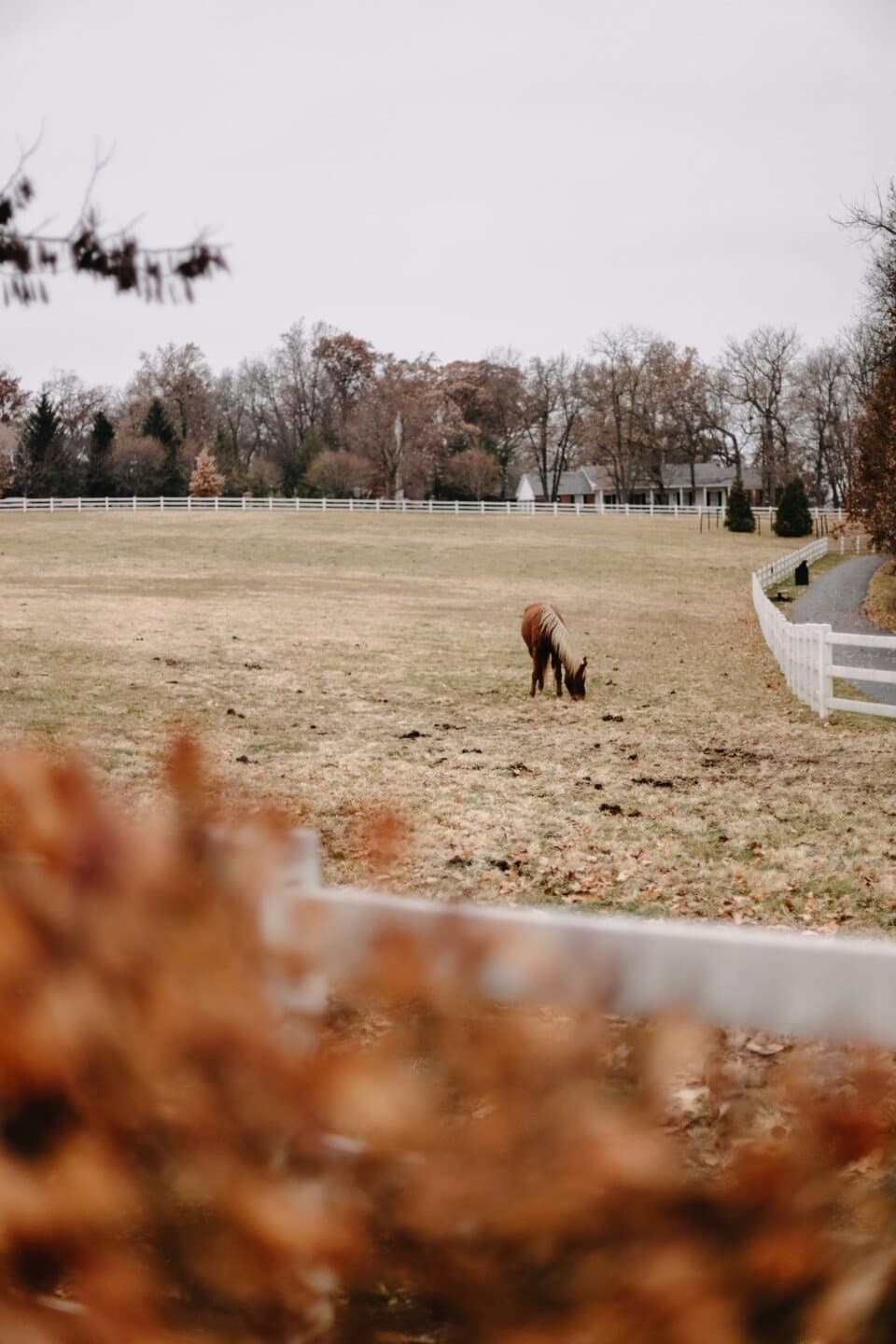 Charlie Mackesy: The Boy, The Mole, The Fox and The Horse, image 1 of 1