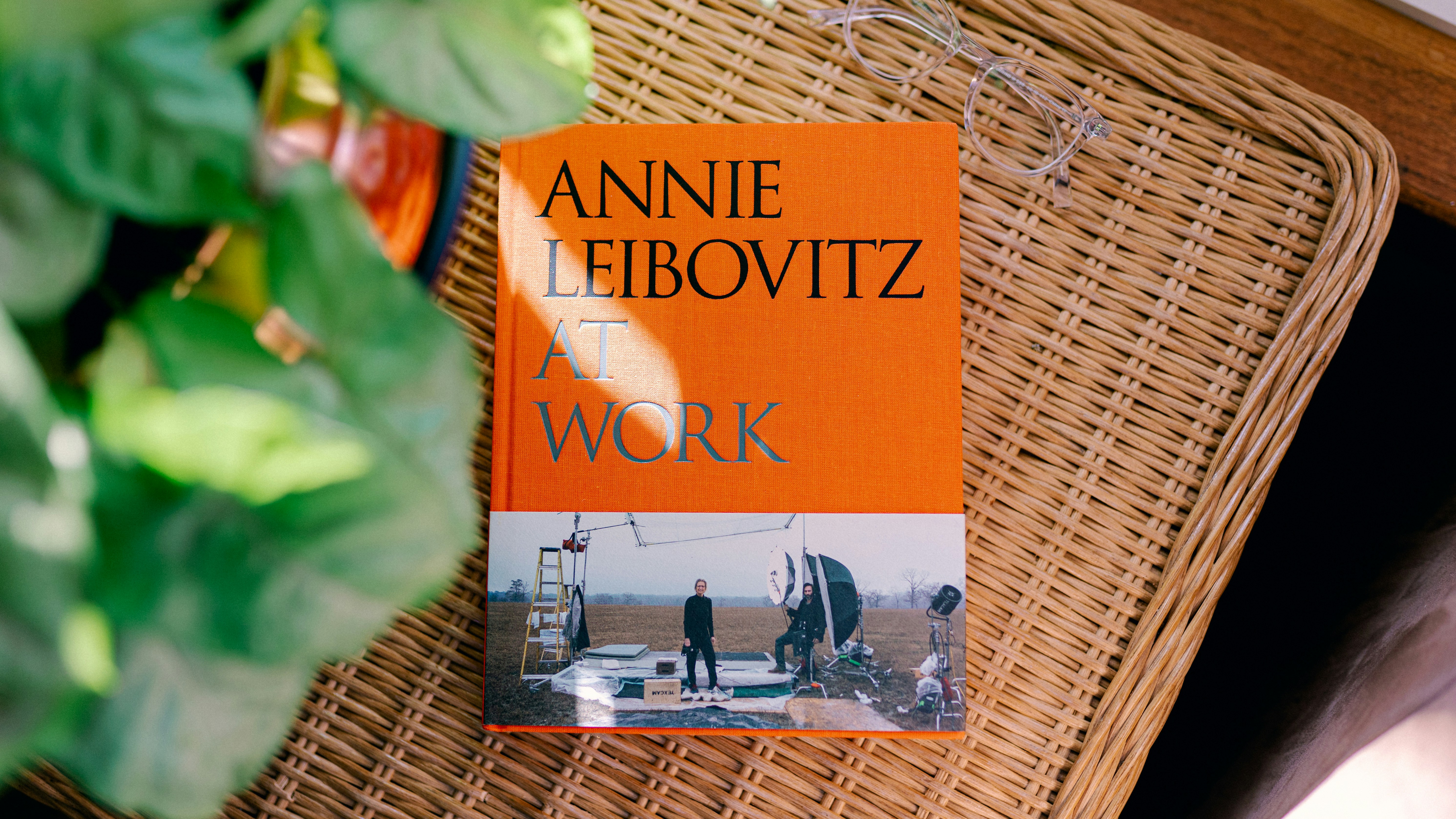 Actress by Anne Enright, image 1 of 1