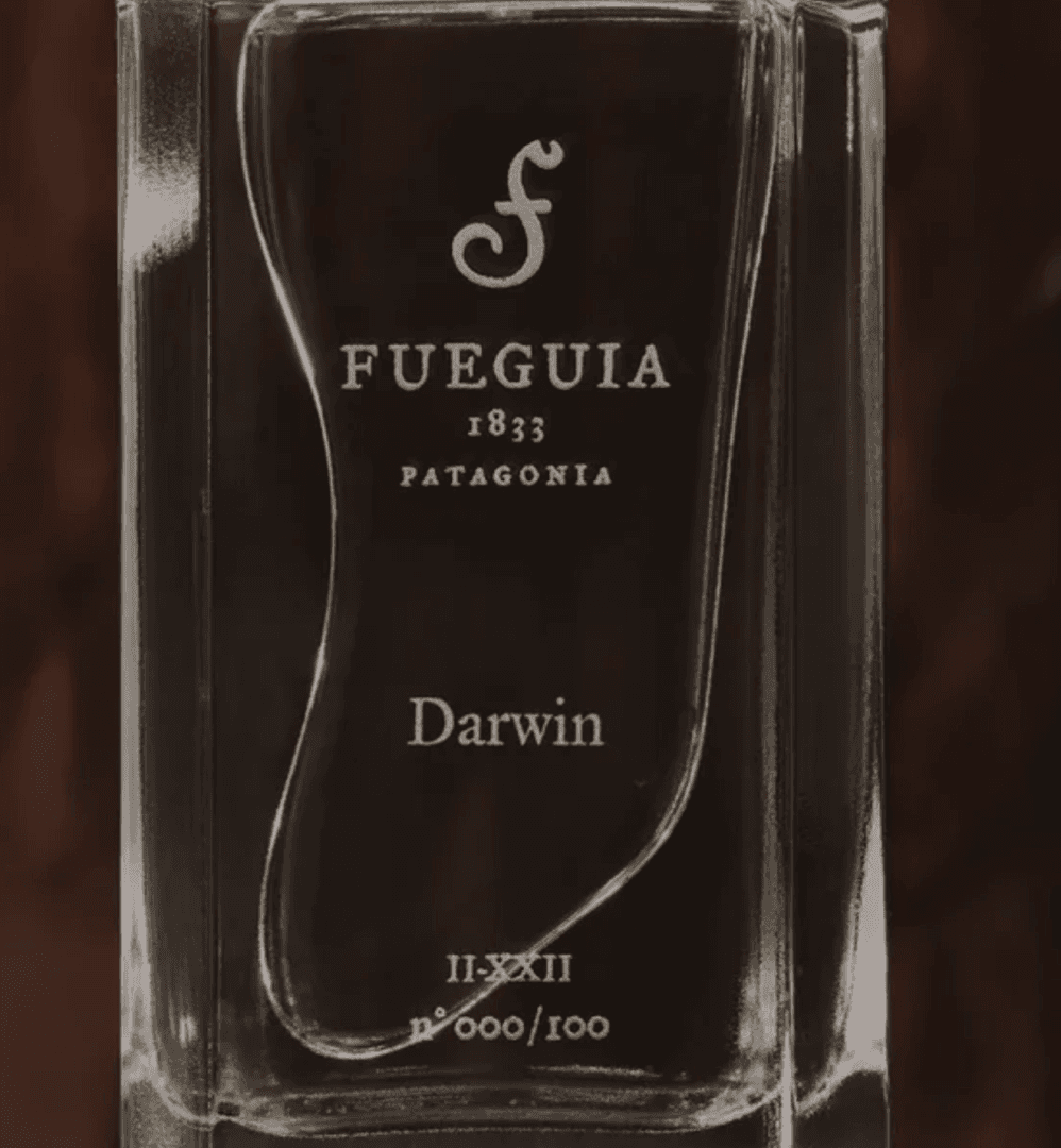 Darwin Fueguia, image 1 of 1