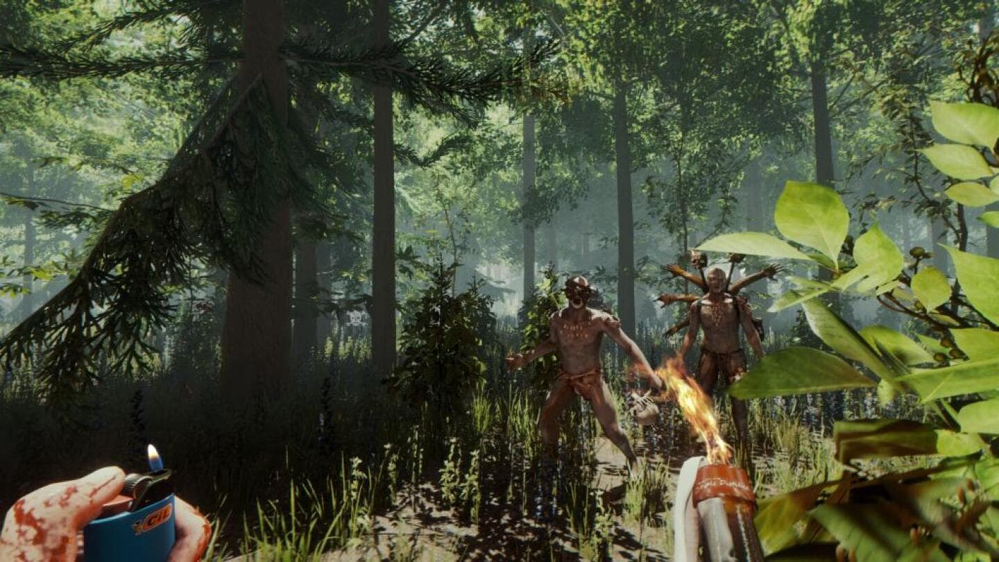 The Forest, image 1 of 1