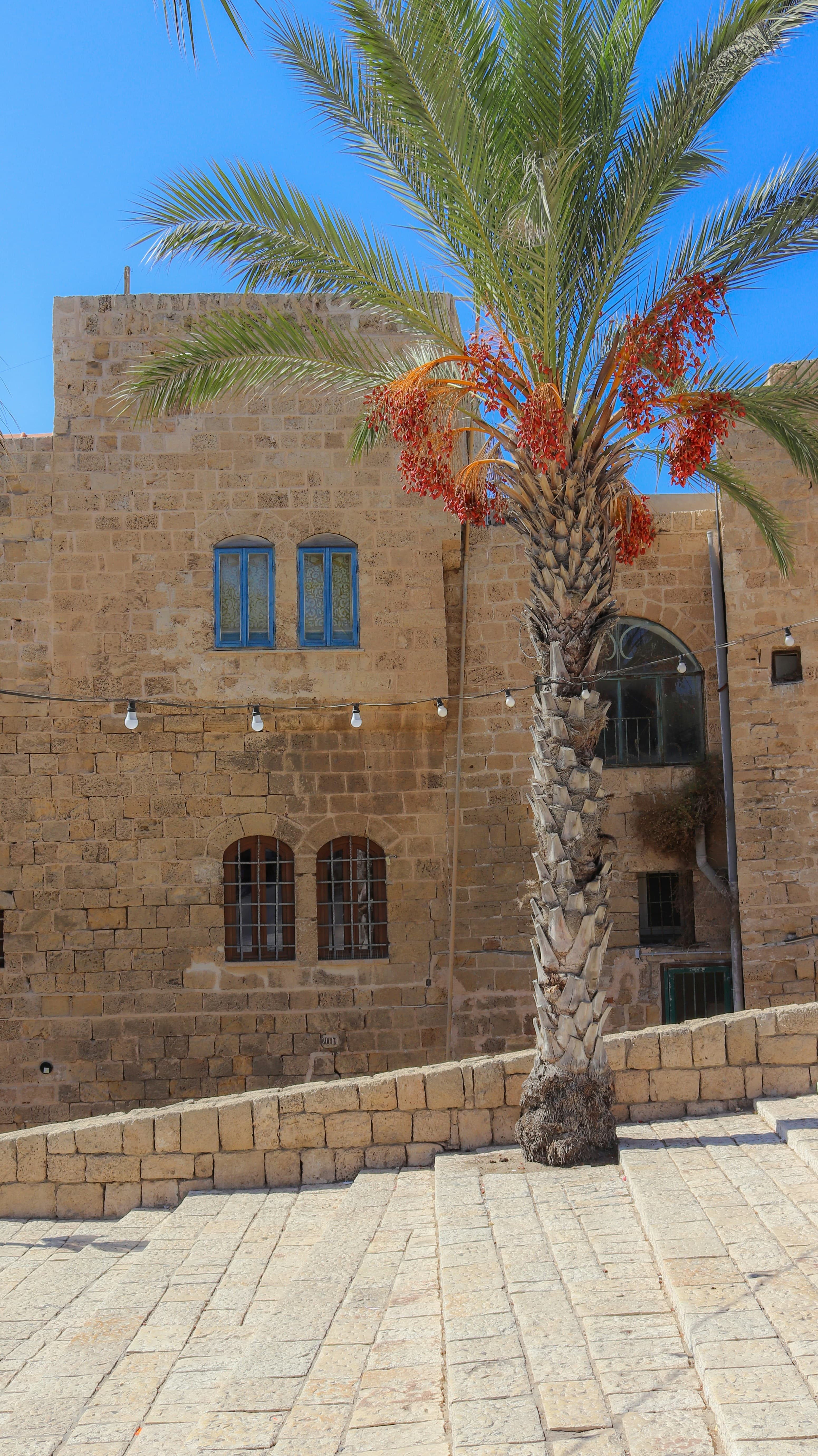 בית בן-גוריון, image 1 of 1