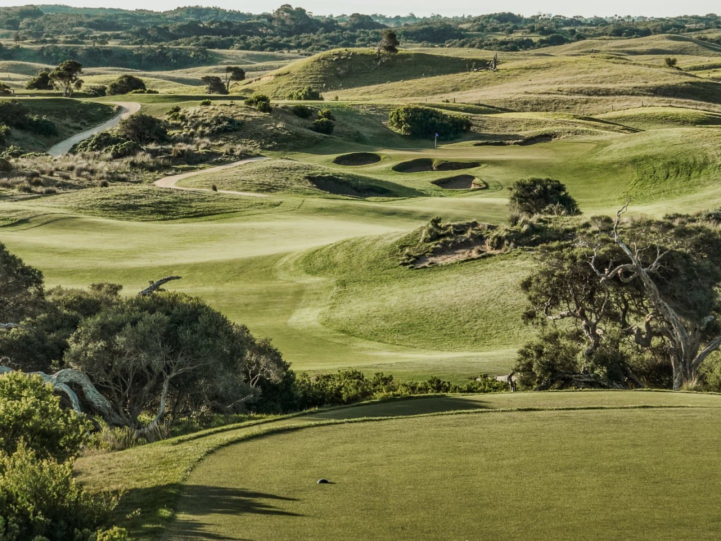 The National Golf Club (Moonah), image 1 of 1