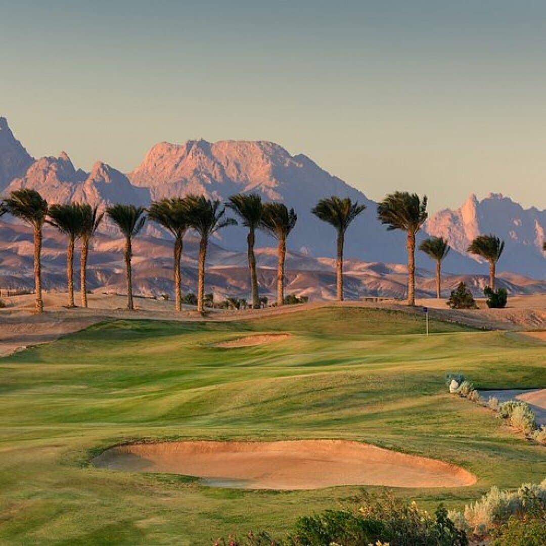 Aswan Golf Club, image 1 of 1