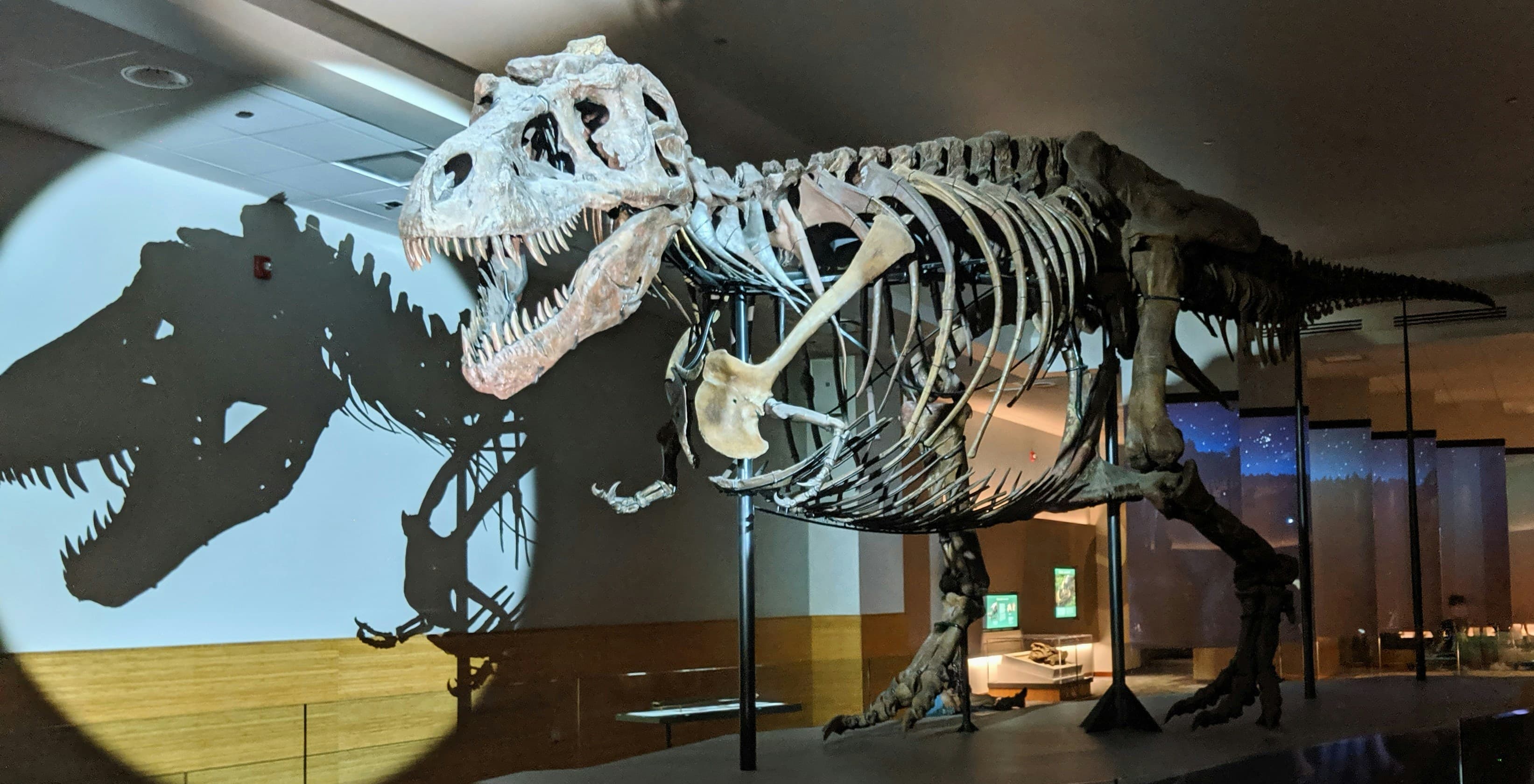 International Museum of Surgical Science, image 1 of 1
