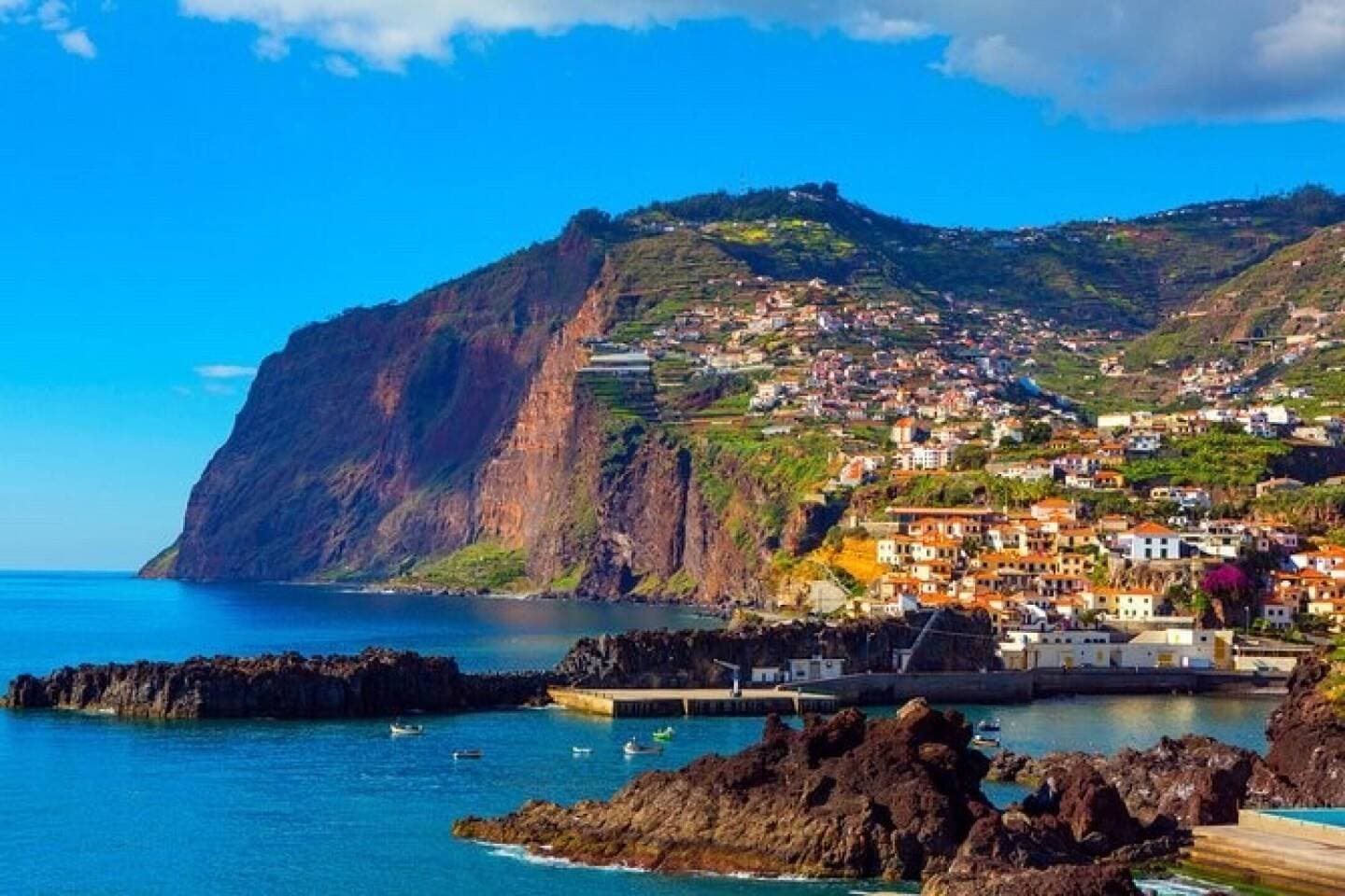 Madeira, image 1 of 1