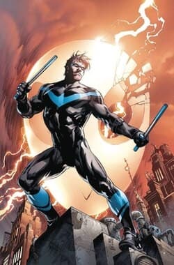 Nightwing, image 1 of 1