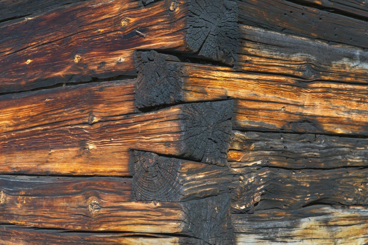 The Dovetail, image 1 of 1