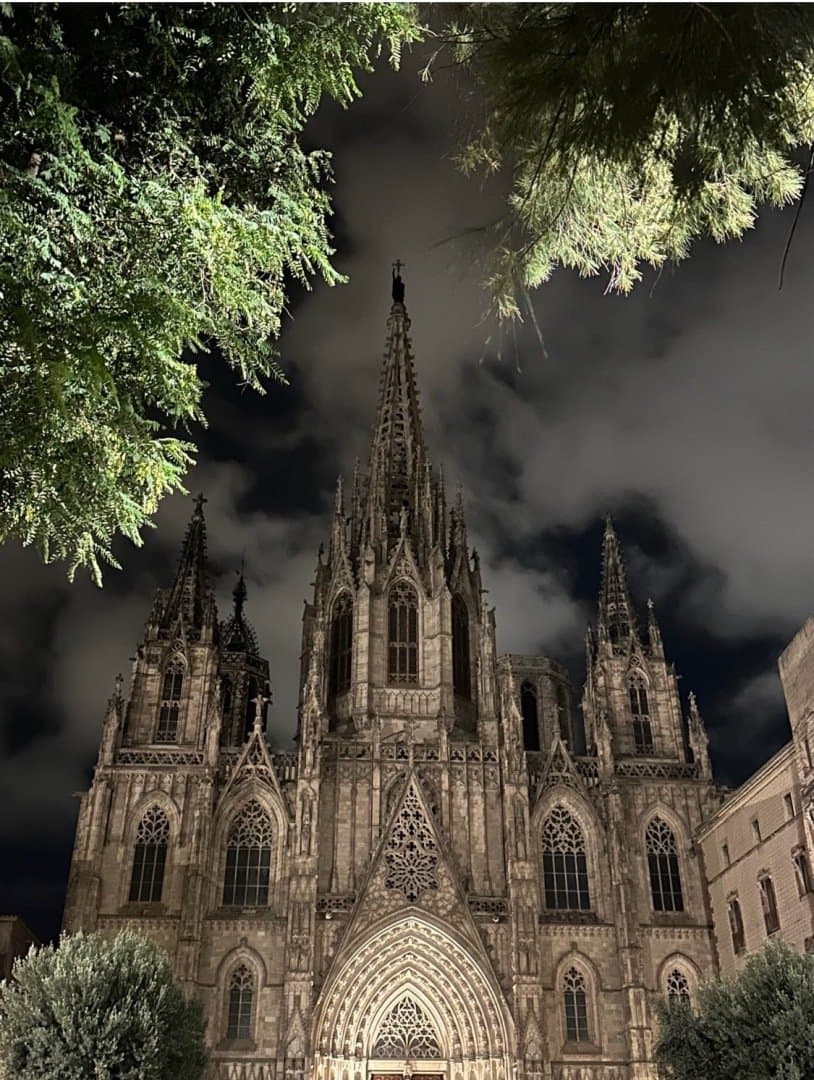 Catedral de Barcelona, image 1 of 1