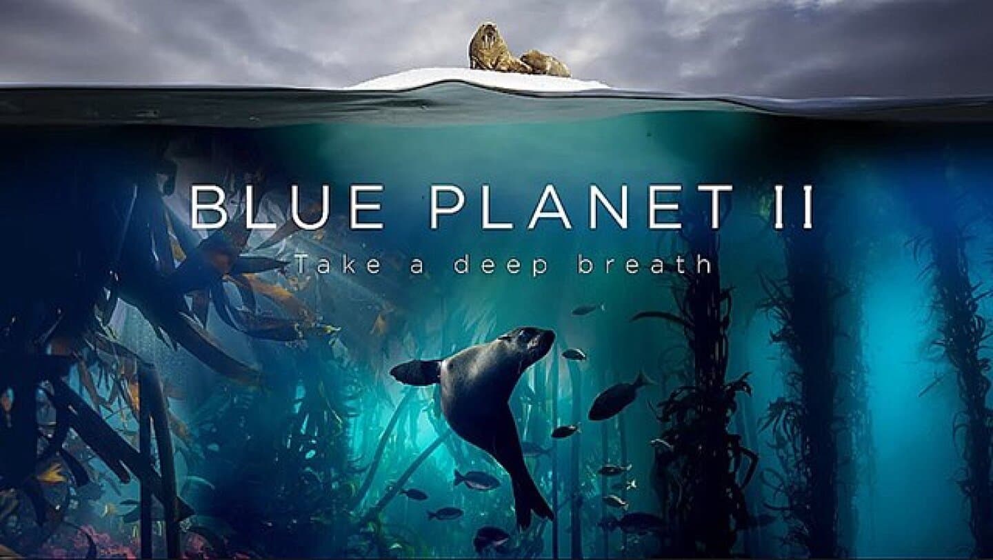 Blue Planet II, image 1 of 1