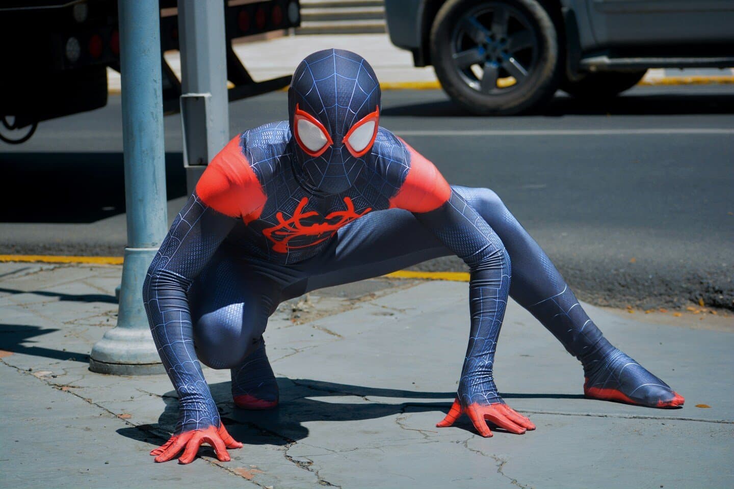 Spider-Man: Into the Spider-Verse, image 1 of 1