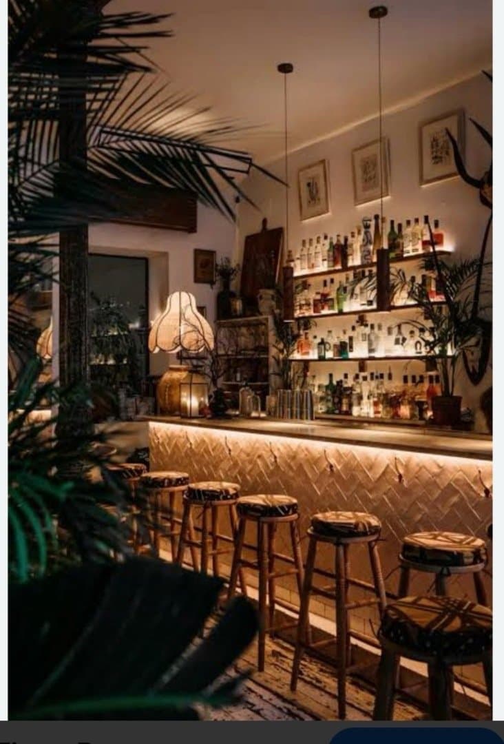 Ficus Bar, image 1 of 1