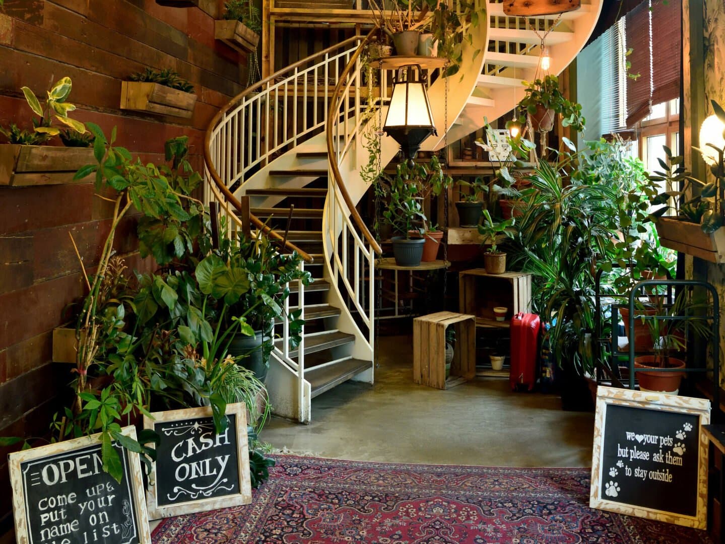 Breakfast at House of Small Wonder, image 1 of 1