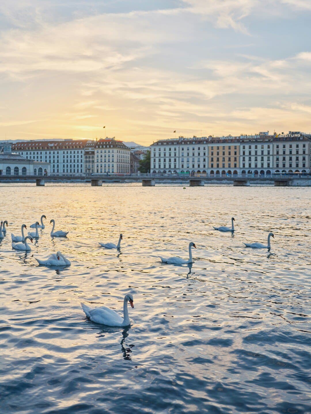 Mandarin Oriental Genève, image 1 of 1