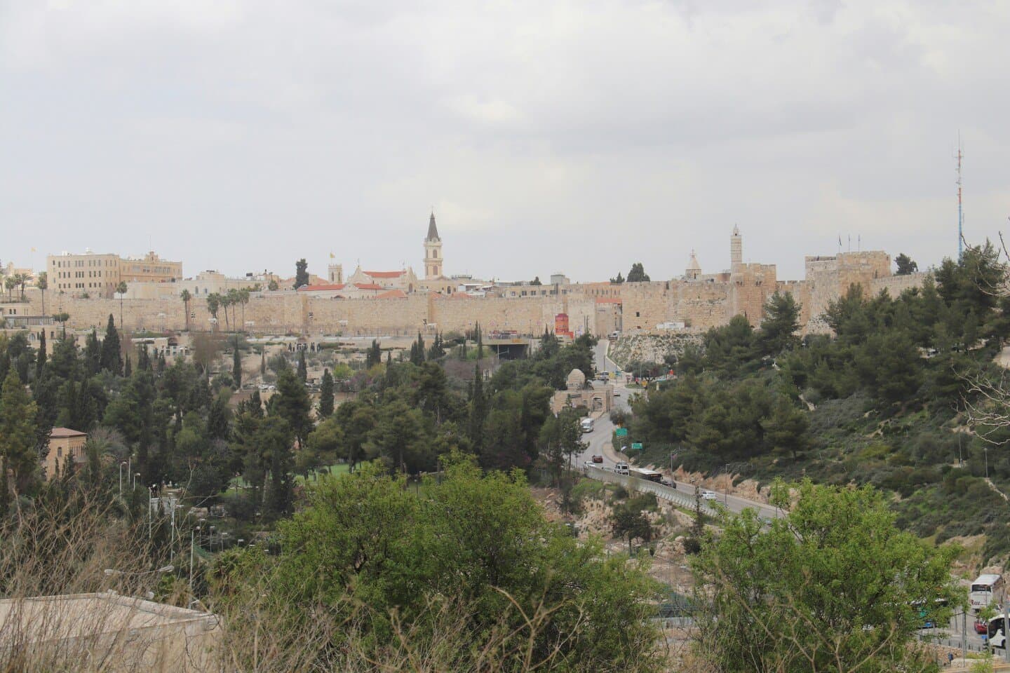 בית"ר ירושלים (כמאמן), image 1 of 1
