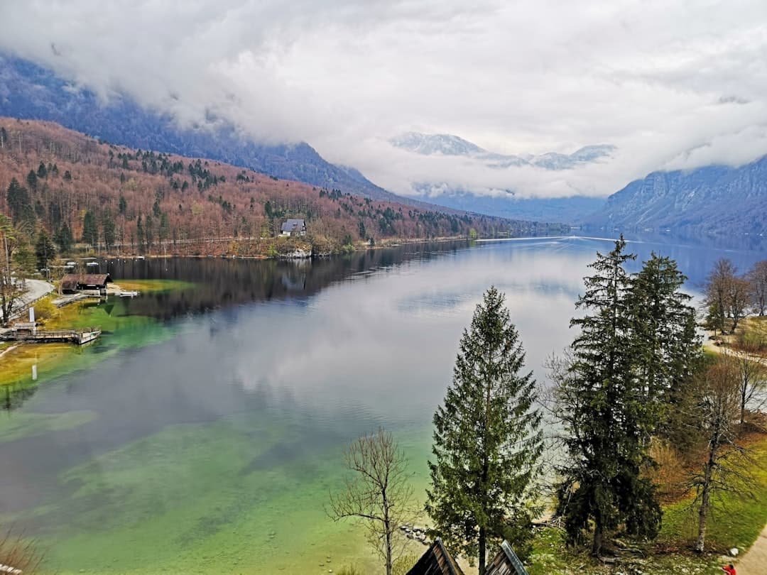Lake Bohinj, image 1 of 1