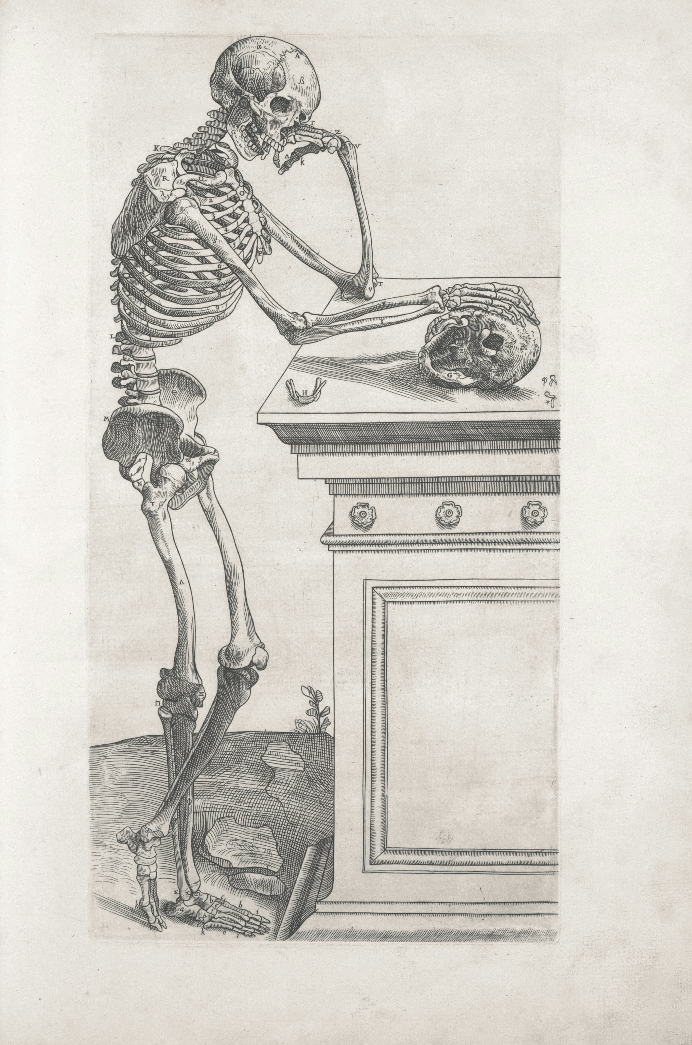 International Museum of Surgical Science, image 1 of 1