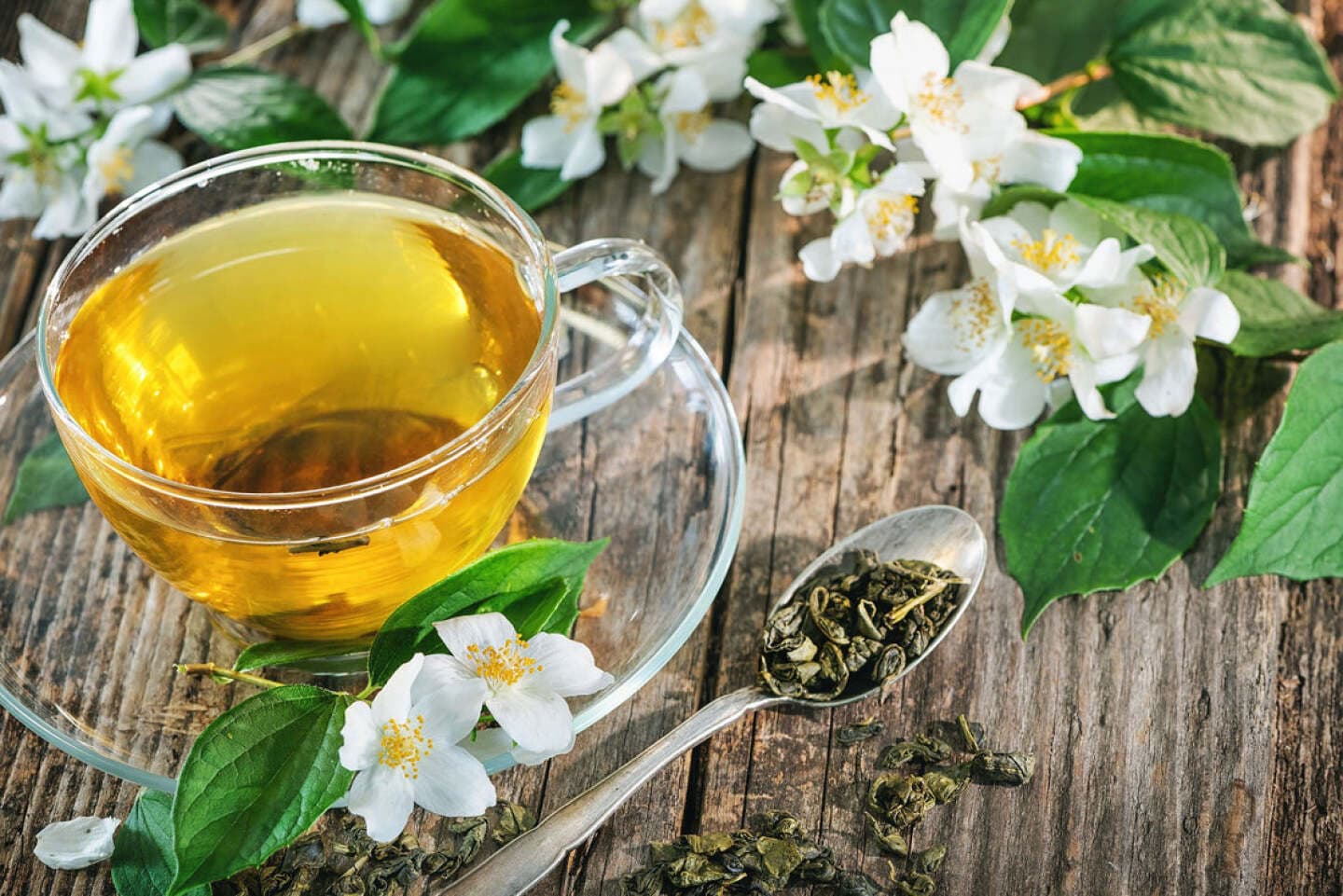 Jasmine Tea, image 1 of 1