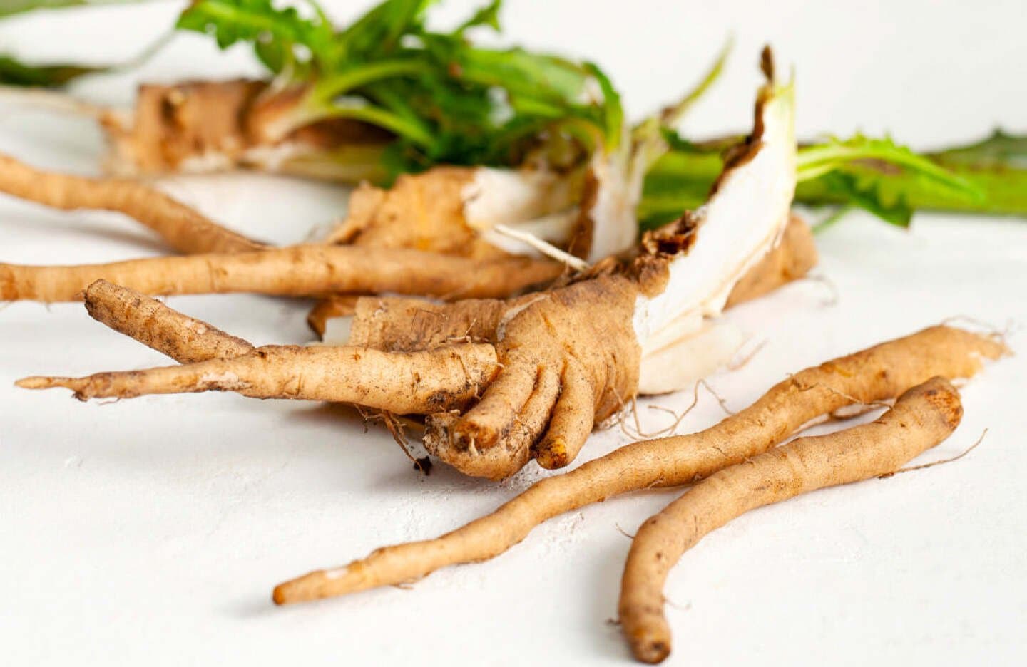 Chicory Root, image 1 of 1